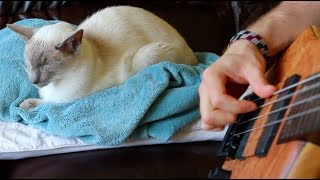 purrfect ed sheeran bass arrangement