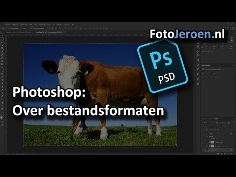 Video: Een Formaat Voor Je Foto Kiezen Your