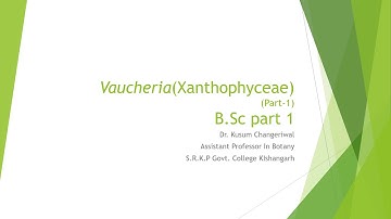 VaucheriaXanthophyceae part 1|Dr. Kusum Changeriwal