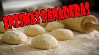ENZIMAS EN PANIFICACIÓN -  PANADERÍA
