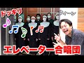 【ドッキリ】エレベーター乗ろうとして合唱団がいたらビビらないやつ０人説 -ウィーン合唱団ドッキリ-