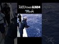 【テスト釣行】SELFISH AJ604 vs SHARK