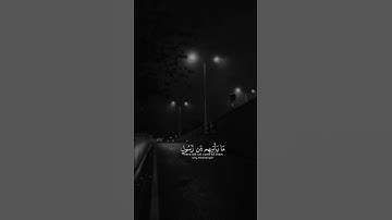 اكتب شي تؤجر عليه 🤍 | القارئ شريف مصطفى | قرآن كريم