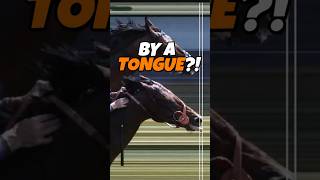 A Horse Won a Race by a Tongue