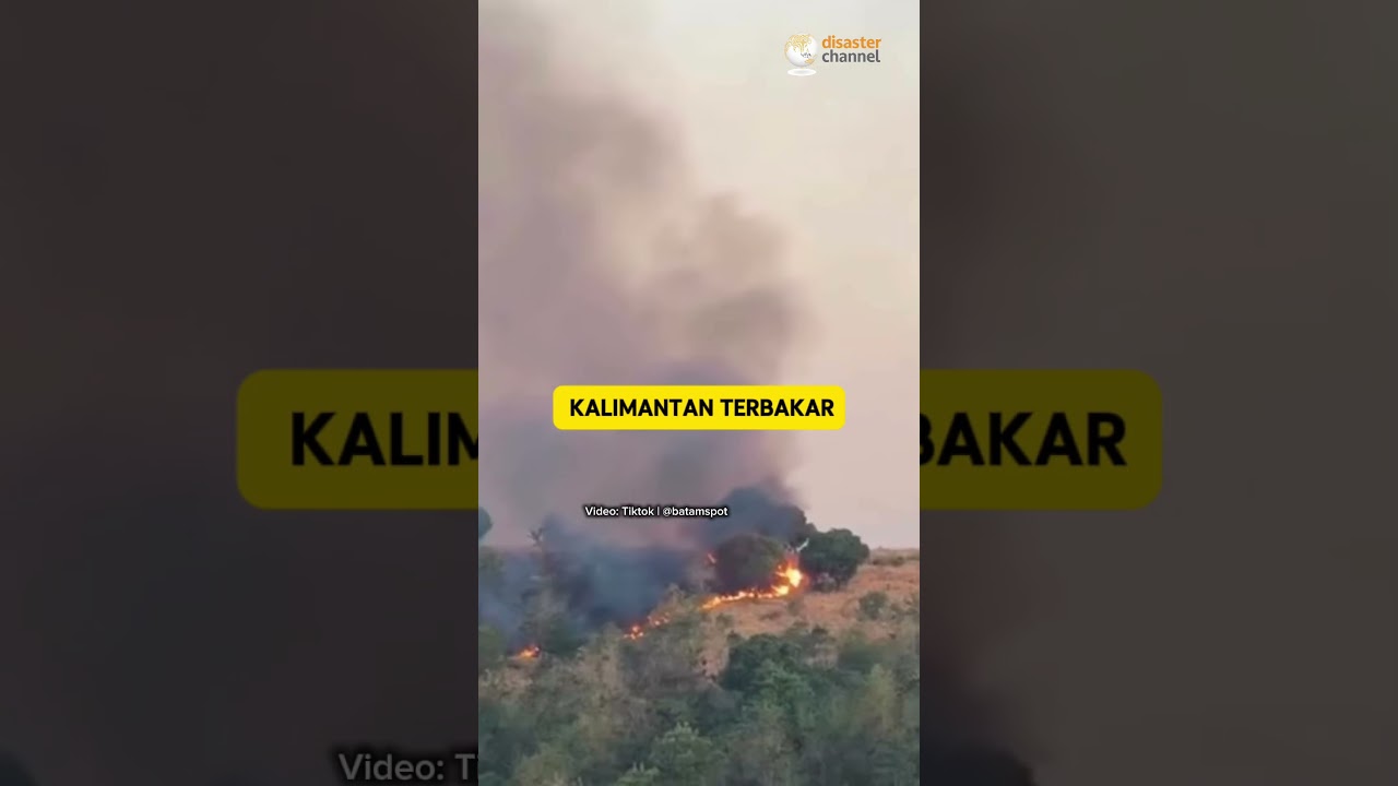 Titik Api Godzilla El Nino di Wilayah Kalimantan.#elnino #kalimantan #karhutla #kebakaranhutan