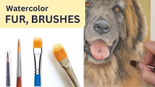 Painting Fur for Beginners, Watercolor Brushes