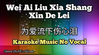 Wei Ai Liu Xia Shang Xin De Lei _ 为爱流下伤心泪 - karaoke no vocal