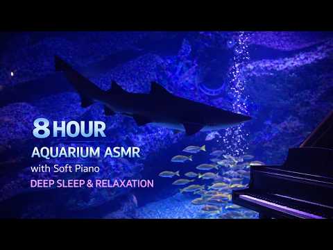 8 Hour Aquarium ASMR with Soft Piano | Deep Sleep, Relaxation & Insomnia Relief | No Talking