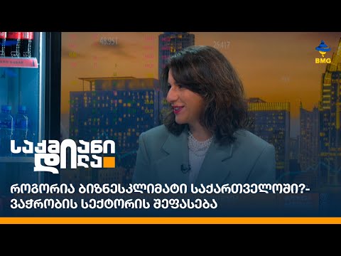 როგორია ბიზნესკლიმატი საქართველოში?- ვაჭრობის სექტორის შეფასება