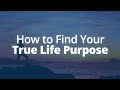 How to Find Your True Purpose in Life | Jack Canfield