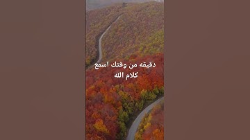 احفظ ايه فى دقيقه تجد نفسك حفظت القرآن الكريم دون أن تدرى #القرآن_الكريم #عمران_مراد #quran #فلسطين