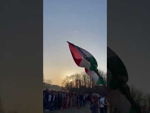 Newroz Almania (Halle