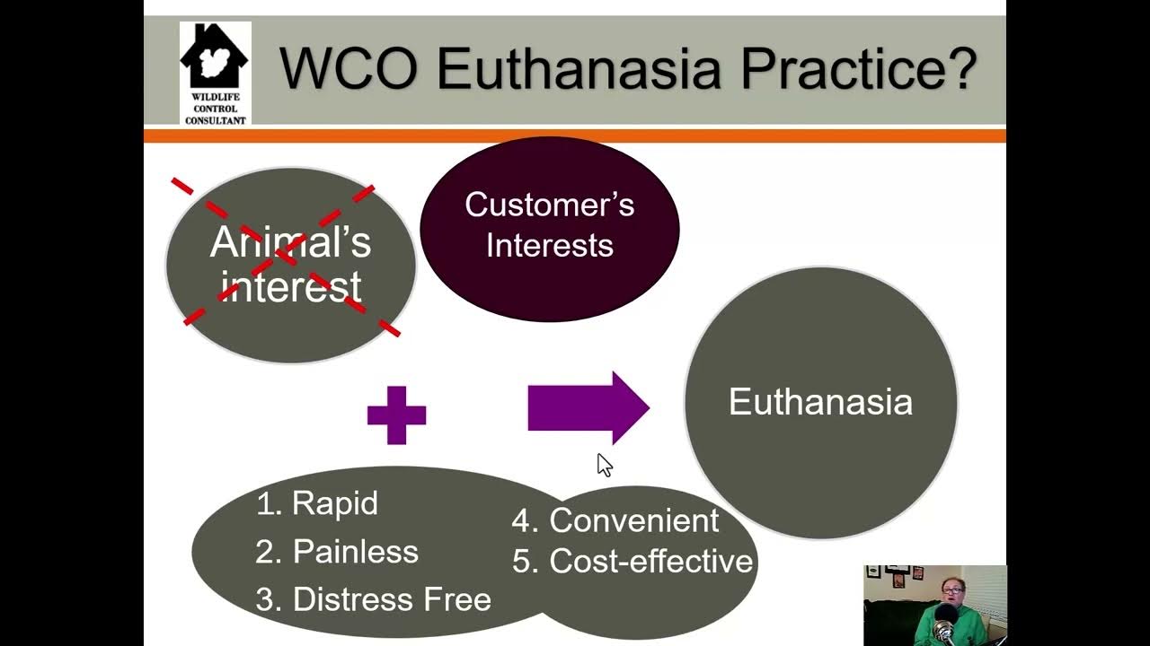 CO2 Wildlife Animal Euthanasia Practices AVMA Guidelines YouTube