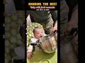 Ranking the best baby responses to food.