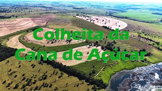 Colheita da cana de açucar - A FORÇA DO AGRO