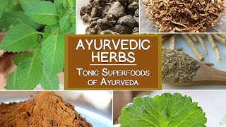 ayurvedic herbs the tonic superfoods of ayurveda