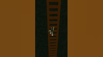 How to find Flat Floppa Morph in Find the Floppa Morphs