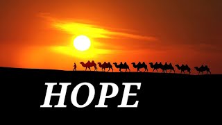 HOPE / Edgar Puerres - Alondra Andes