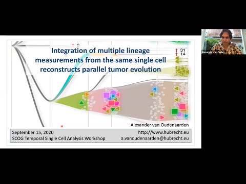 Temporal Single Cell Analysis 2020 - Alexander van Oudenaarden (Hubrecht Institute, Utrecht)