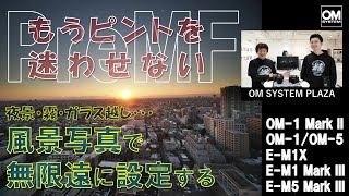 MSAM　② 554590 オプションお写真2枚目掲載 mqdefault.jpg