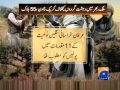 terrorists killed Lower Orakzai Agency-Geo