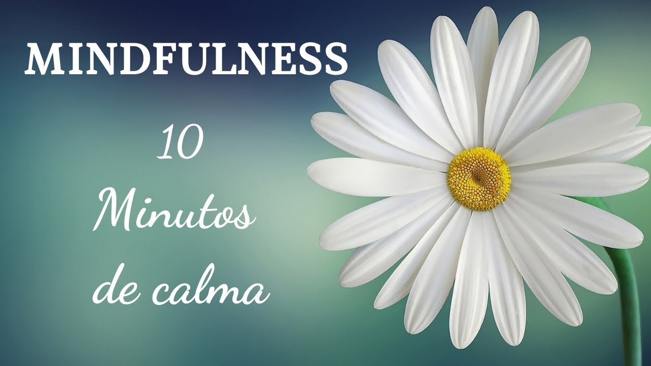🦋 Meditación guiada 10 minutos MINDFULNESS || Atención plena para ...
