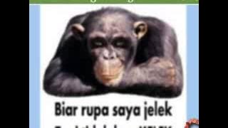 AMOUR - NO DUIT NO CINTA