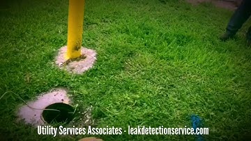 How a correlator works