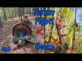 TURKEY FIGHT Brings a LONGBEARD Right to Me!! - HUNTING the HILLS of NORTH CAROLINA