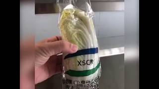 Automatic Reciprocating Packaging Machine for Fresh Vegetable Automatic Packaging by XSCR