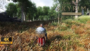 Skyrim Ultra Modded 4K DLSS : Best Next Gen Graphics 2025 ! w/Modlist !! Raytracing