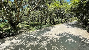 T332🌺 Bán vườn cây ăn trái gần chợ vĩnh kim gần nhiều tiện ích , đường ô tô tới đất