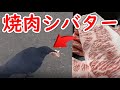 カラスに焼肉シバターをプレゼント　焼肉シバターのプレミアム黒毛和牛(最高級金ラベルオリーブ牛)500g（ロース 約250g モモ 約250g） スライス焼肉（焼きしゃぶ・すき焼き・しゃぶしゃぶ）