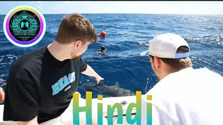 @MrBeast Would You Swim With Sharks For $100,000 🦈 / Hindi video / #entertainment #hindi #video