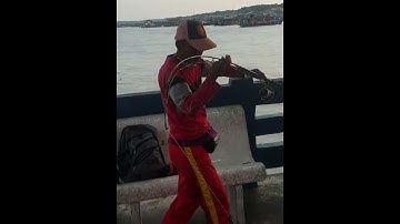 Ikan sembilang