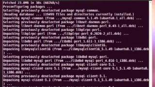 How to Install LAMP Server (Linux Ubuntu, Apache, MySQL, PHP)
