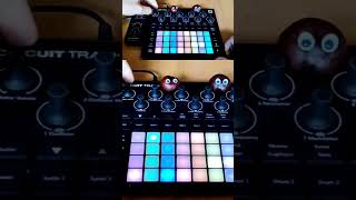 🤪🎧 GOING NUTZ on CIRCUIT TRACKS #shorts #techno #novationcircuittracks @MIXtofMusic
