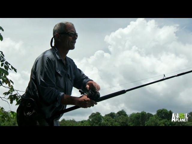 Amazon Apocalypse - How to Catch a Red-Tailed Catfish | River Monsters