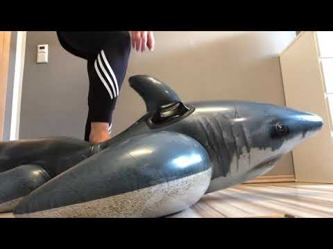 Inflatable shark Crushing barefeet Barfuß Crush Hai