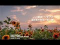 I Don&#39;t Like Mondays - Sunflower 中日字幕