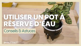 Utiliser un pot à réserve d'eau - Truffaut