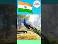 What is the national bird of India?#shots#youtubeshorts  #genralknowledge