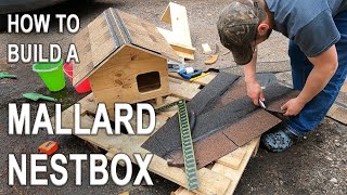 Making a Mallard Nestbox