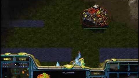 Starcraft Cat n Mouse