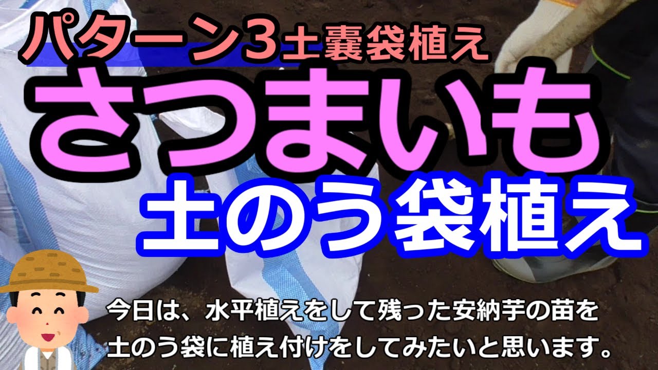 みるだけ家庭菜園 シーズン2第4回 さつまいも植えパターン3 土のう袋植え Youtube