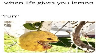 you laugh, you restart 86