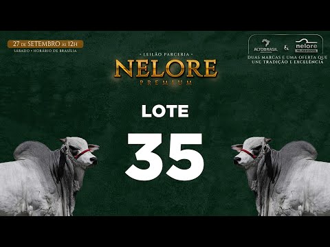 LOTE 35   MVEL 1793