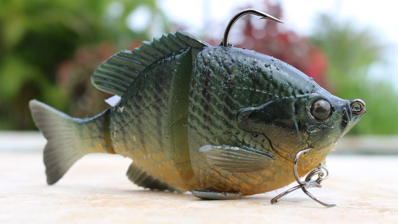 Savage Gear 3D Bluegill Review!!! 