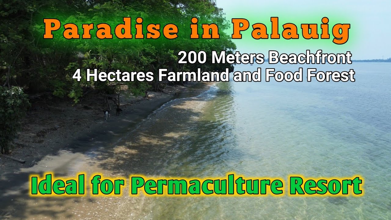 200 Meters ang Beach Frontage / Mahaba ang Foreshore / Palauig, Zambales