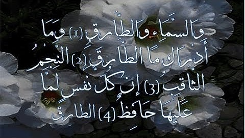 تلاوه نادره جدا للشيخ عبدالباسط عبدالصمد "سورتى الطارق والقدر"
